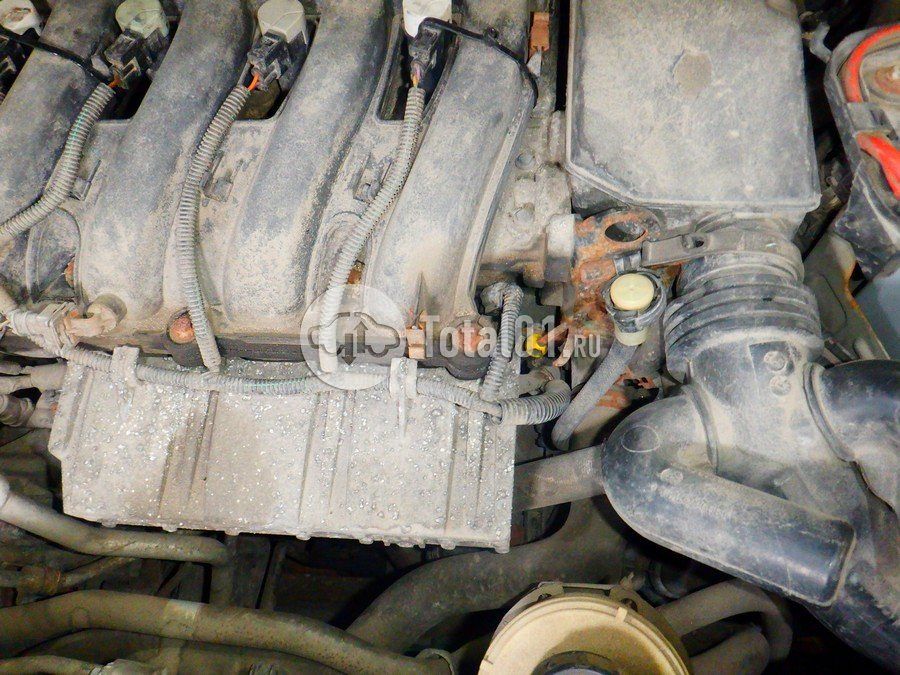 Фото Nissan Terrano 196