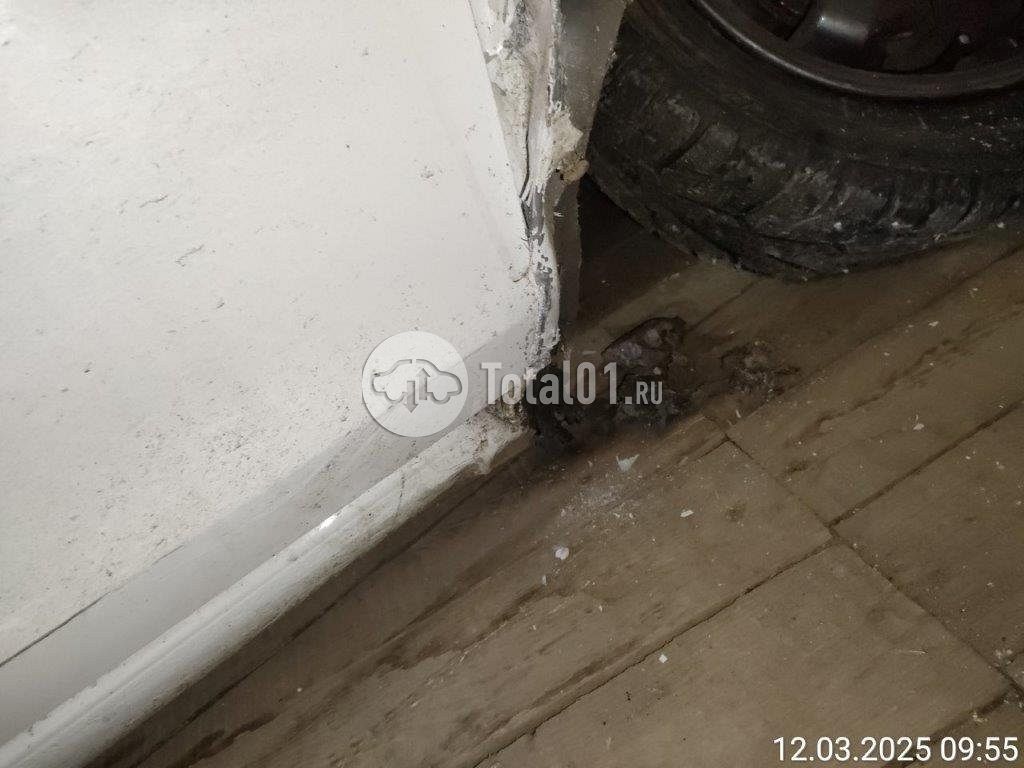 Фото Volkswagen Polo 84