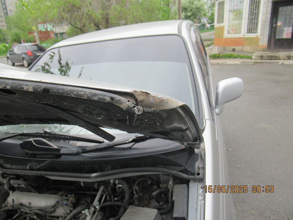 Фото Nissan Presage 86