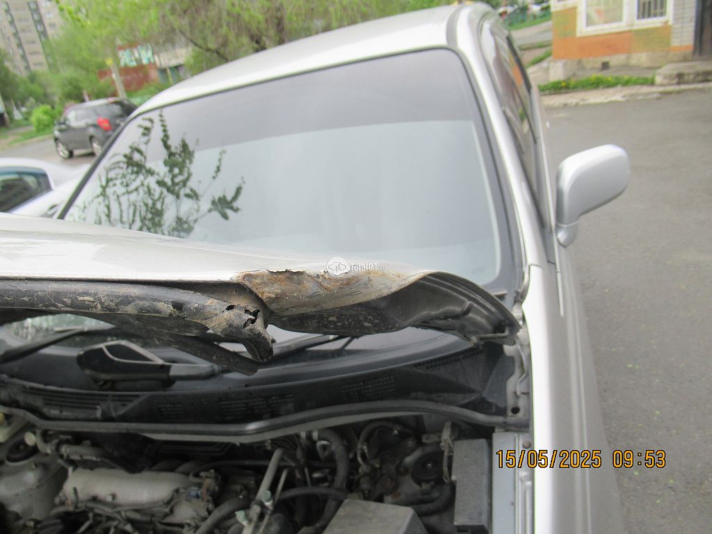 Фото Nissan Presage 92