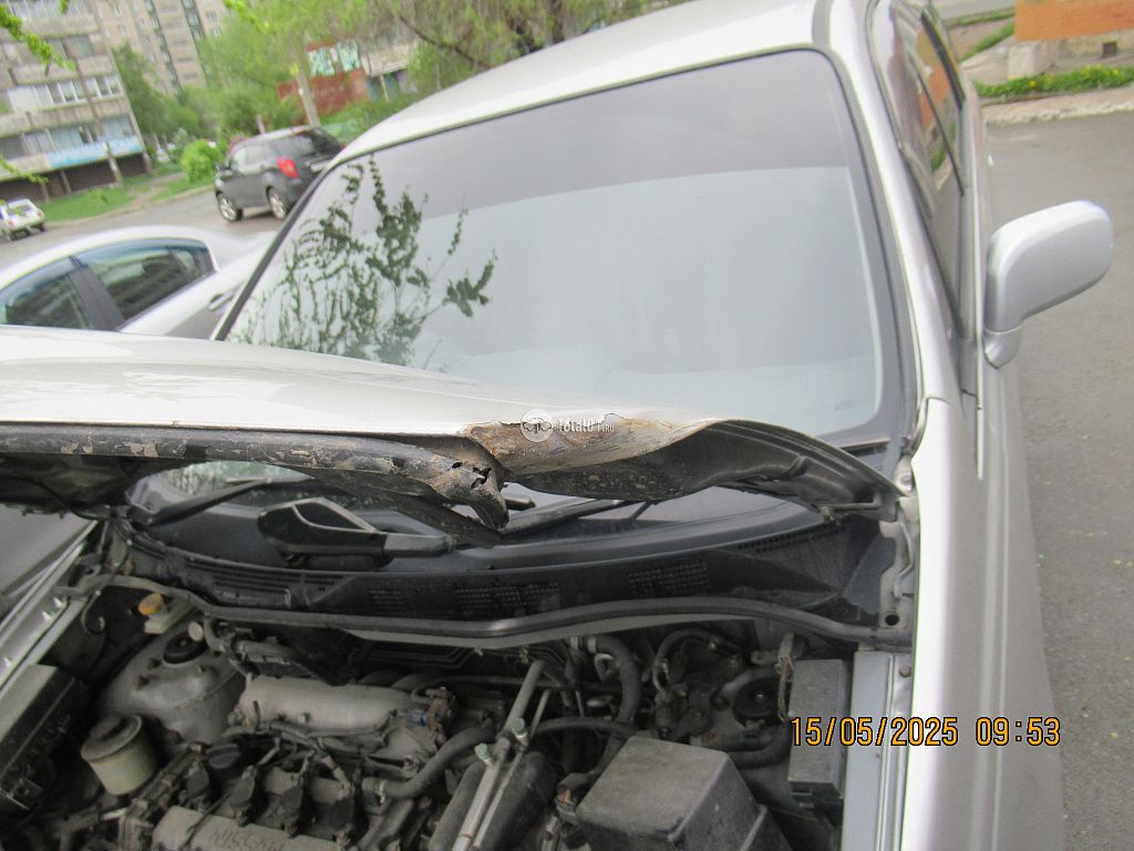 Фото Nissan Presage 96