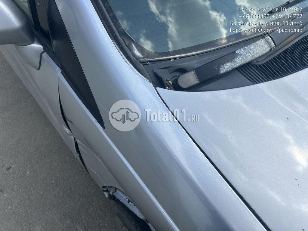 Фото Nissan Liberty 196