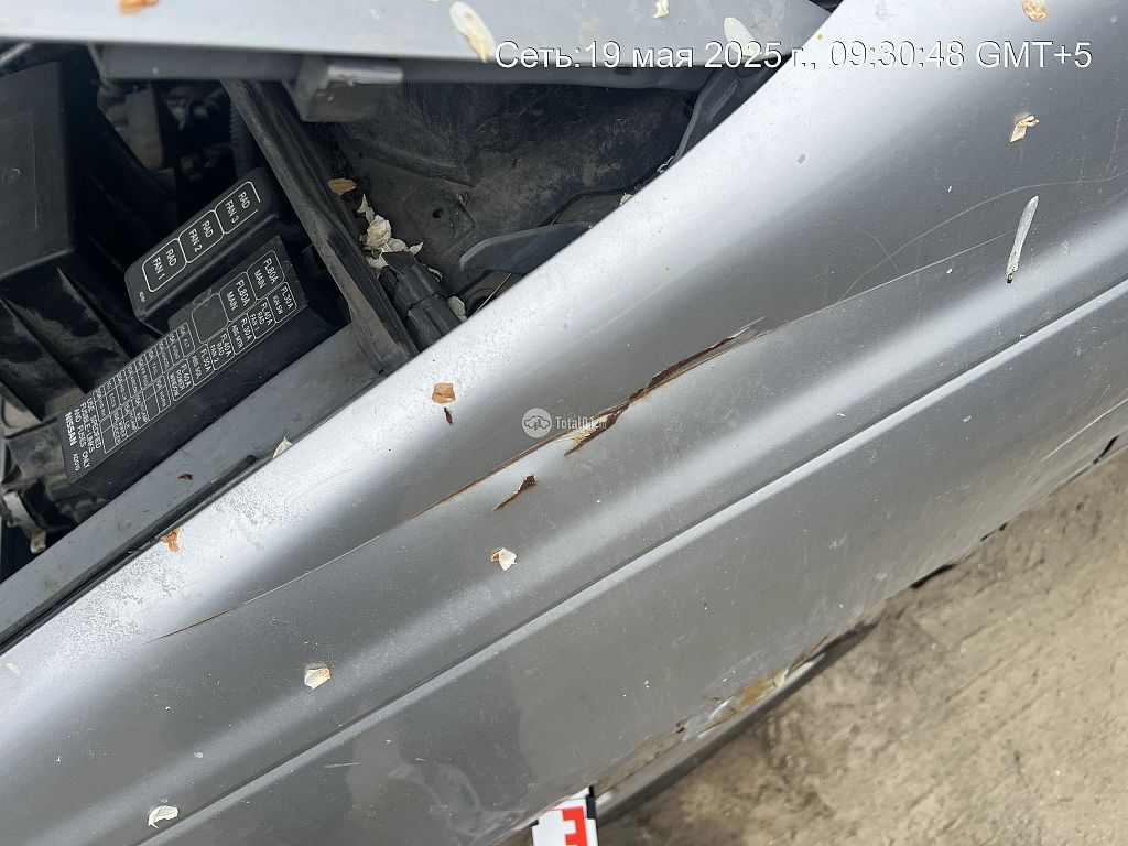 Фото Nissan Presage 144