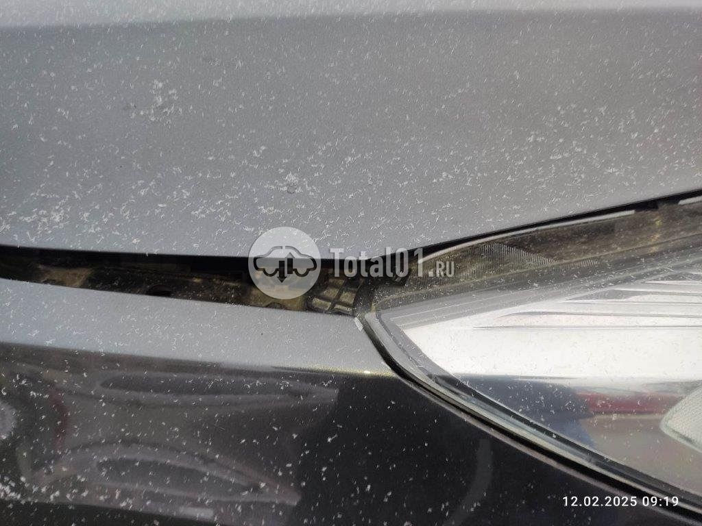 Фото Ford Kuga 286