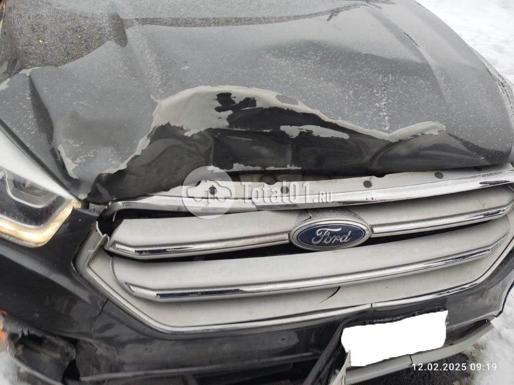 Фото Ford Kuga 294