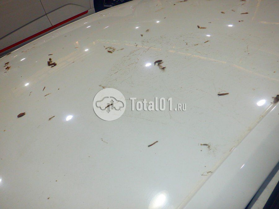 Фото Volkswagen Polo 164
