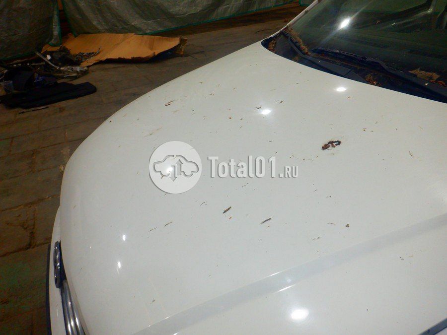 Фото Volkswagen Polo 234