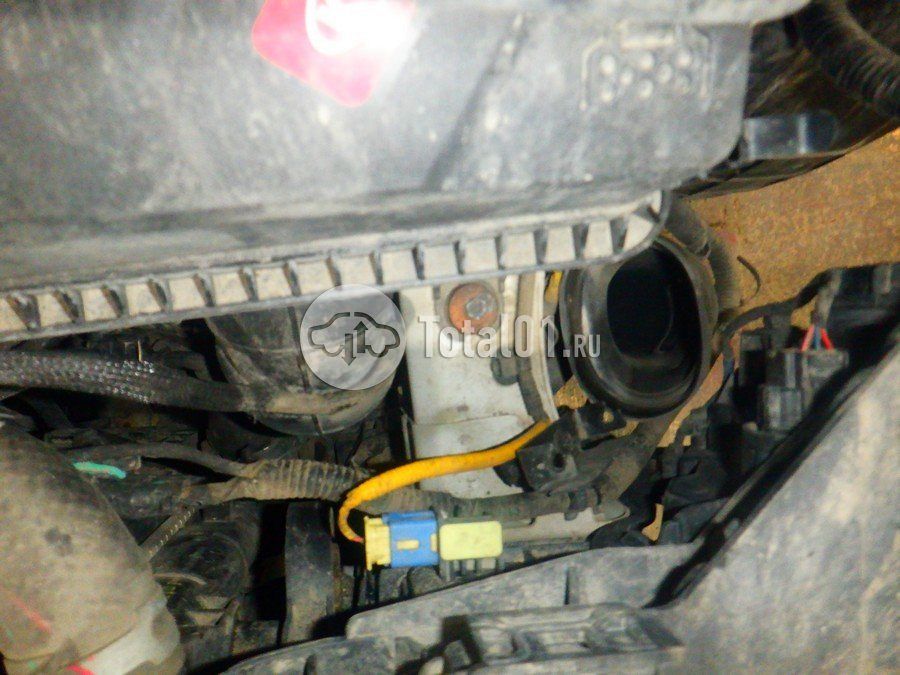 Фото KIA Soul 306