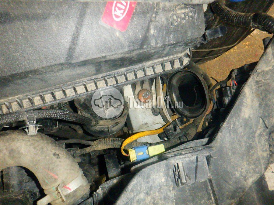 Фото KIA Soul 312