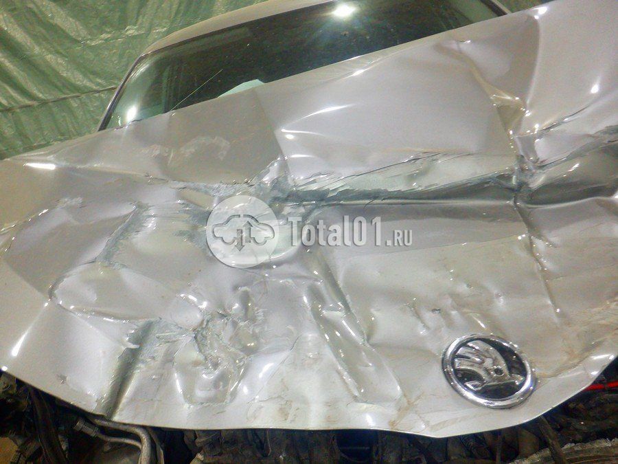 Фото Skoda Rapid 248