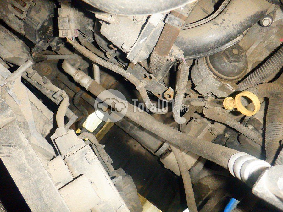 Фото Chevrolet Captiva 296