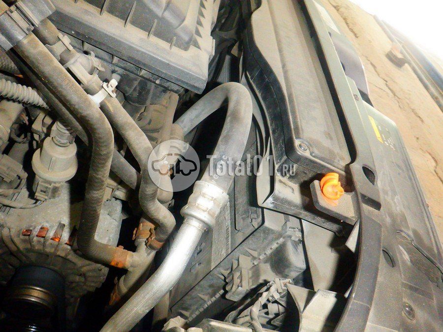 Фото Skoda Octavia 142