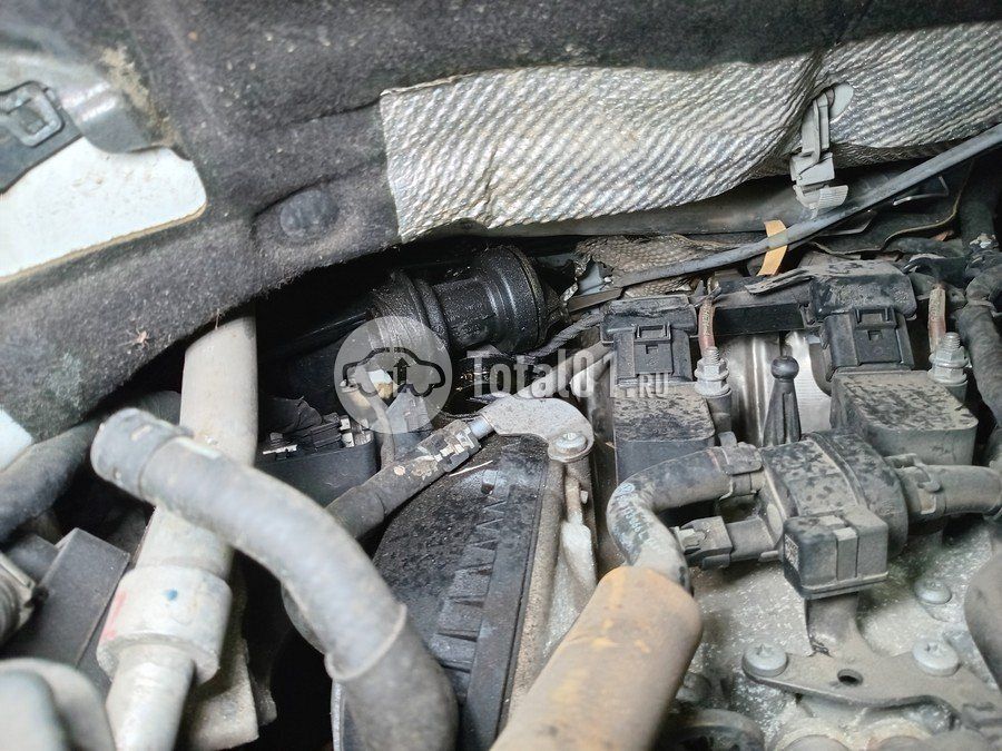 Фото Volkswagen Tiguan 280