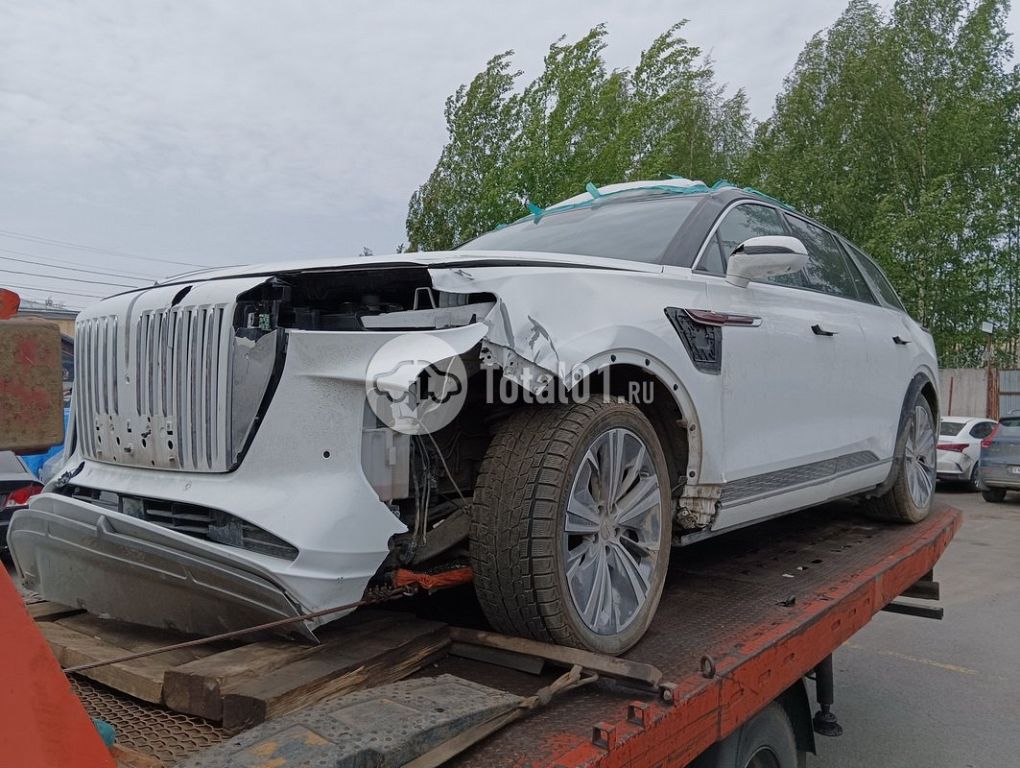 Фото Hongqi E-HS9 4