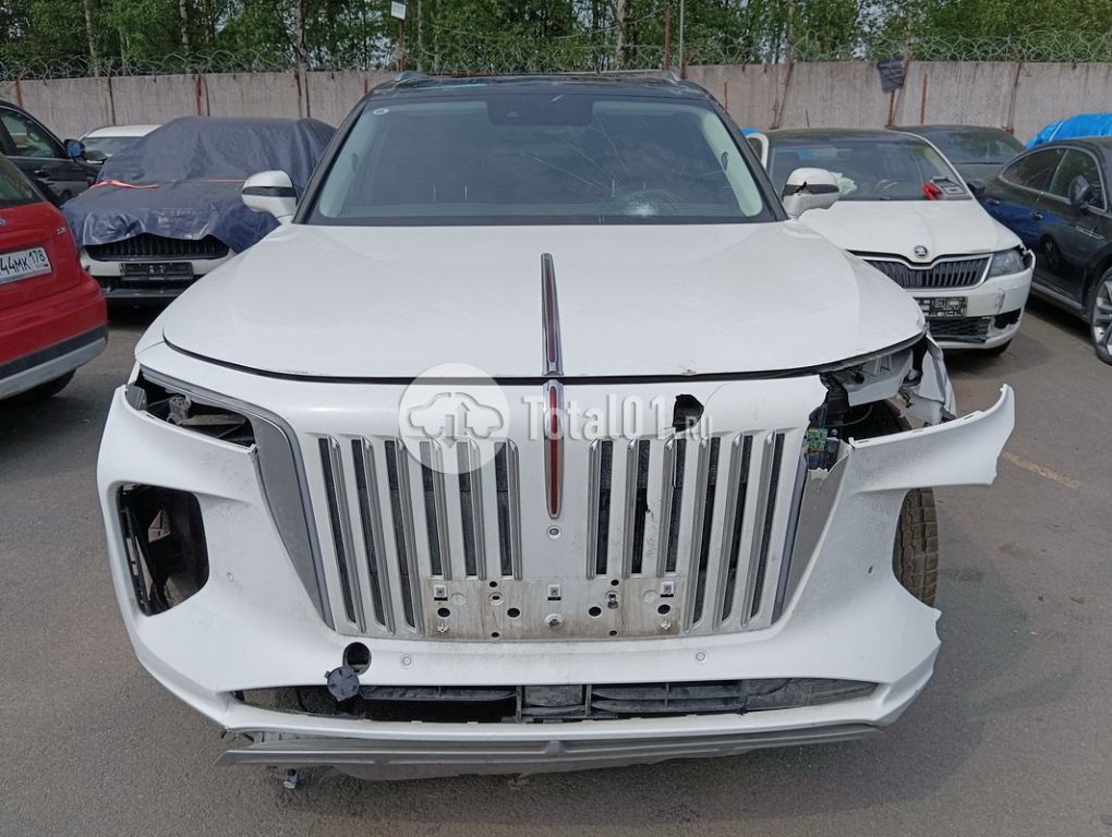 Фото Hongqi E-HS9 6
