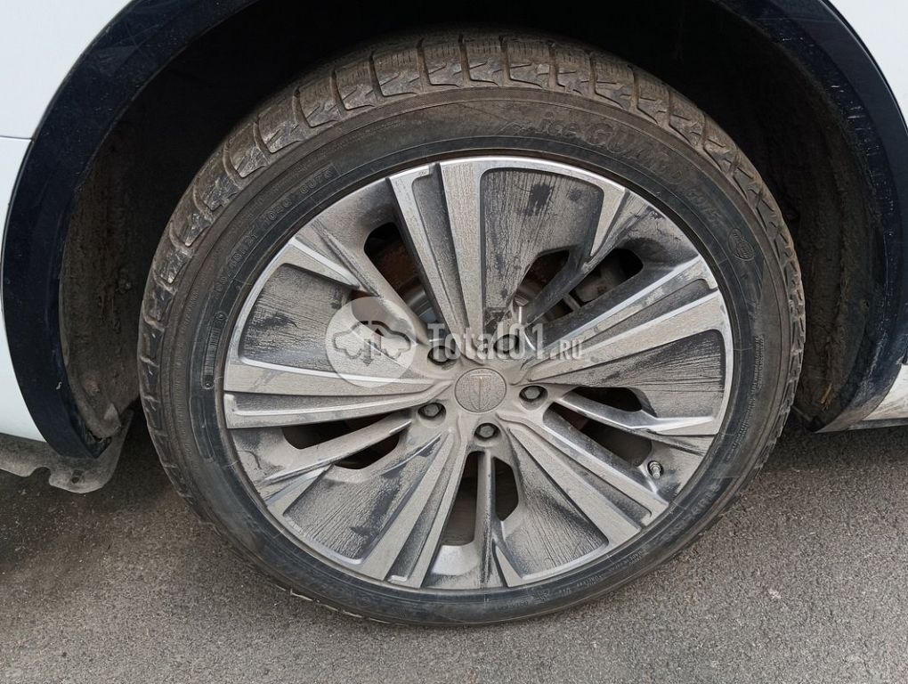 Фото Hongqi E-HS9 26