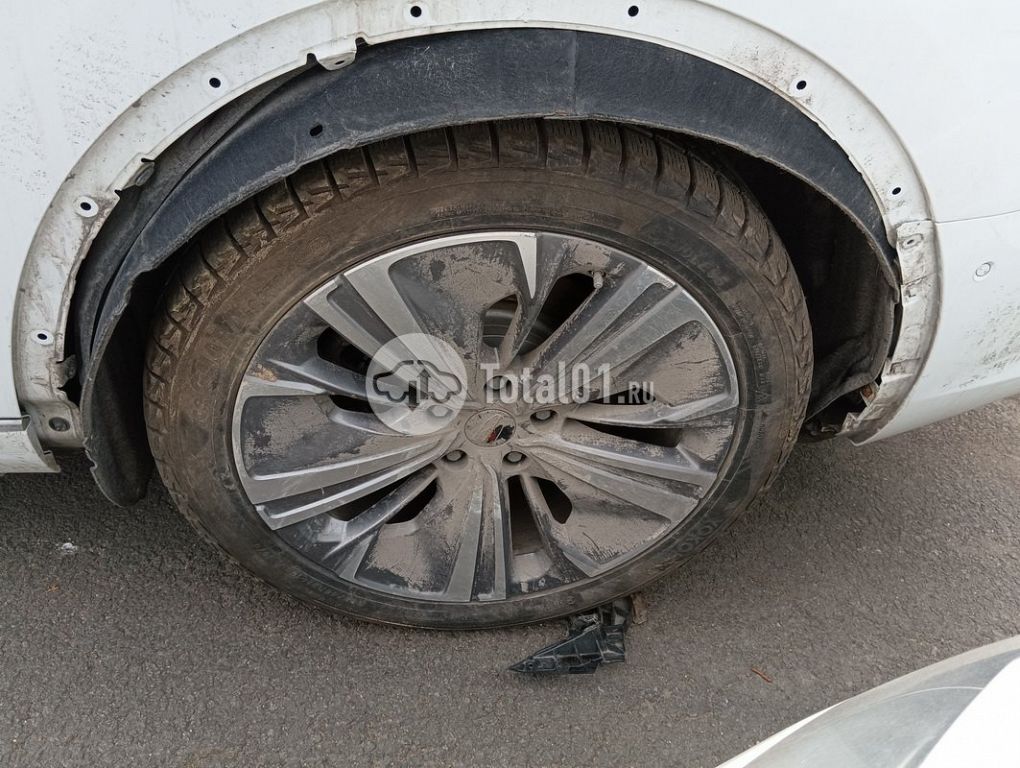 Фото Hongqi E-HS9 30