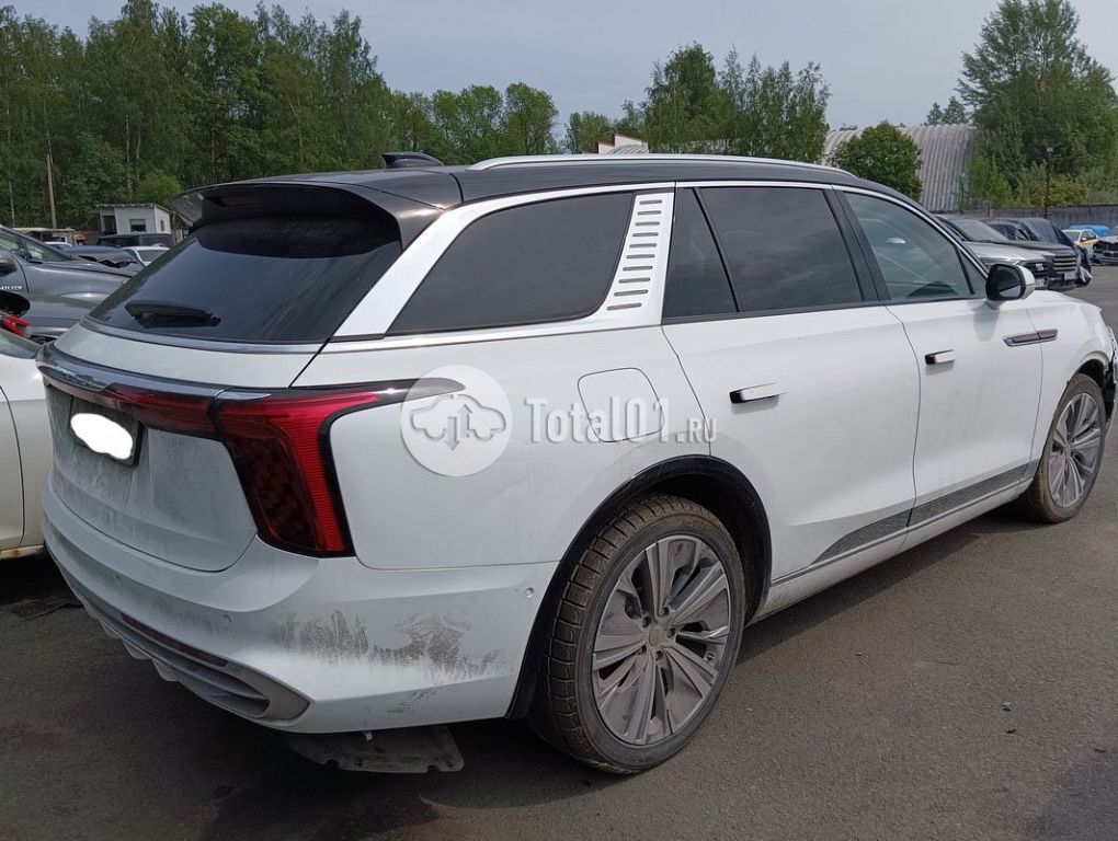 Фото Hongqi E-HS9 48