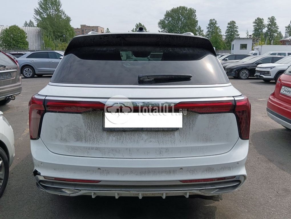 Фото Hongqi E-HS9 52