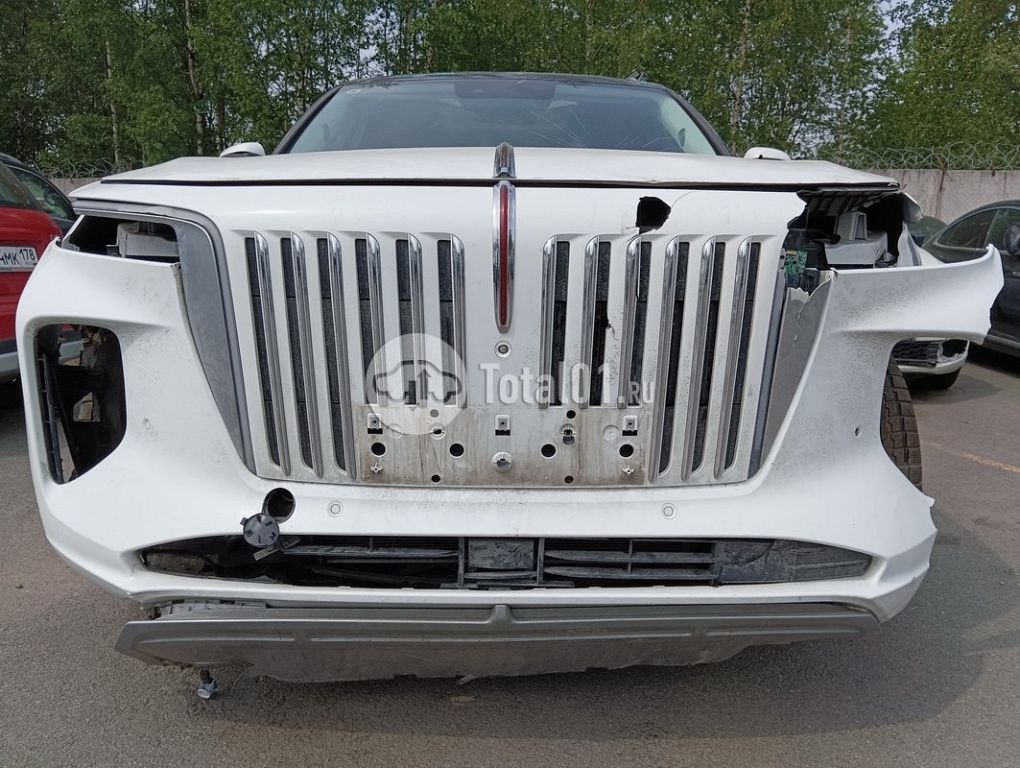 Фото Hongqi E-HS9 60
