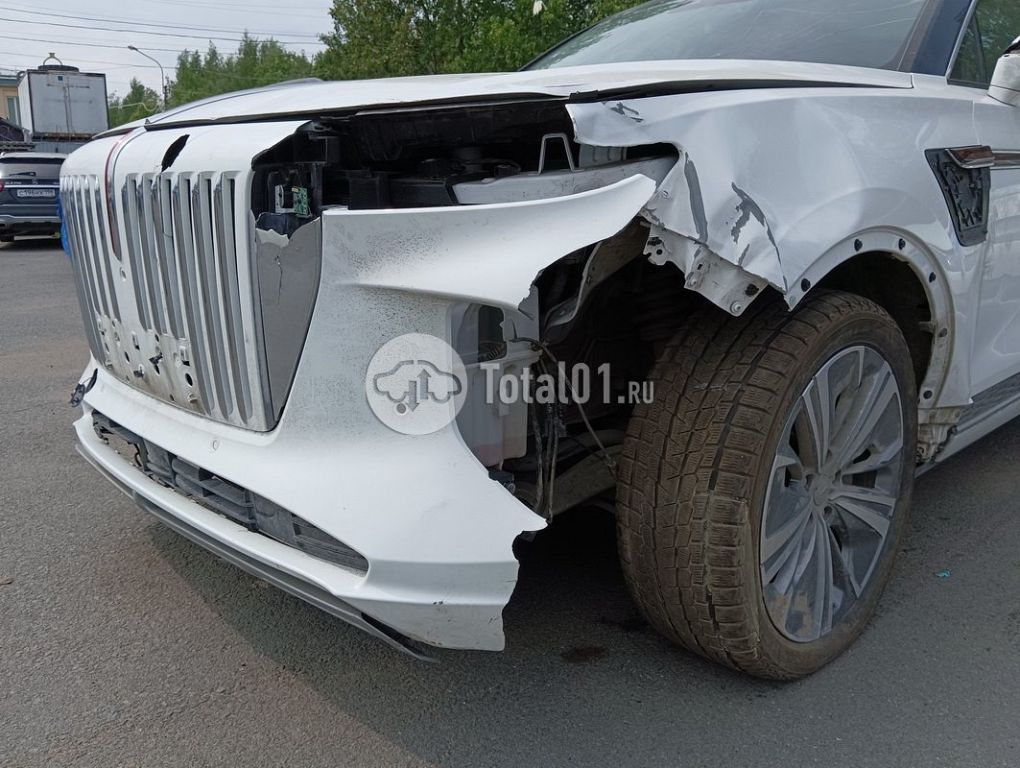 Фото Hongqi E-HS9 68