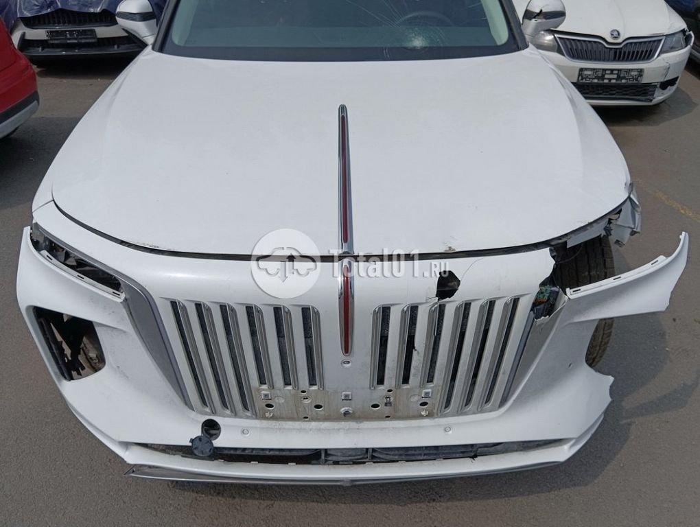 Фото Hongqi E-HS9 72