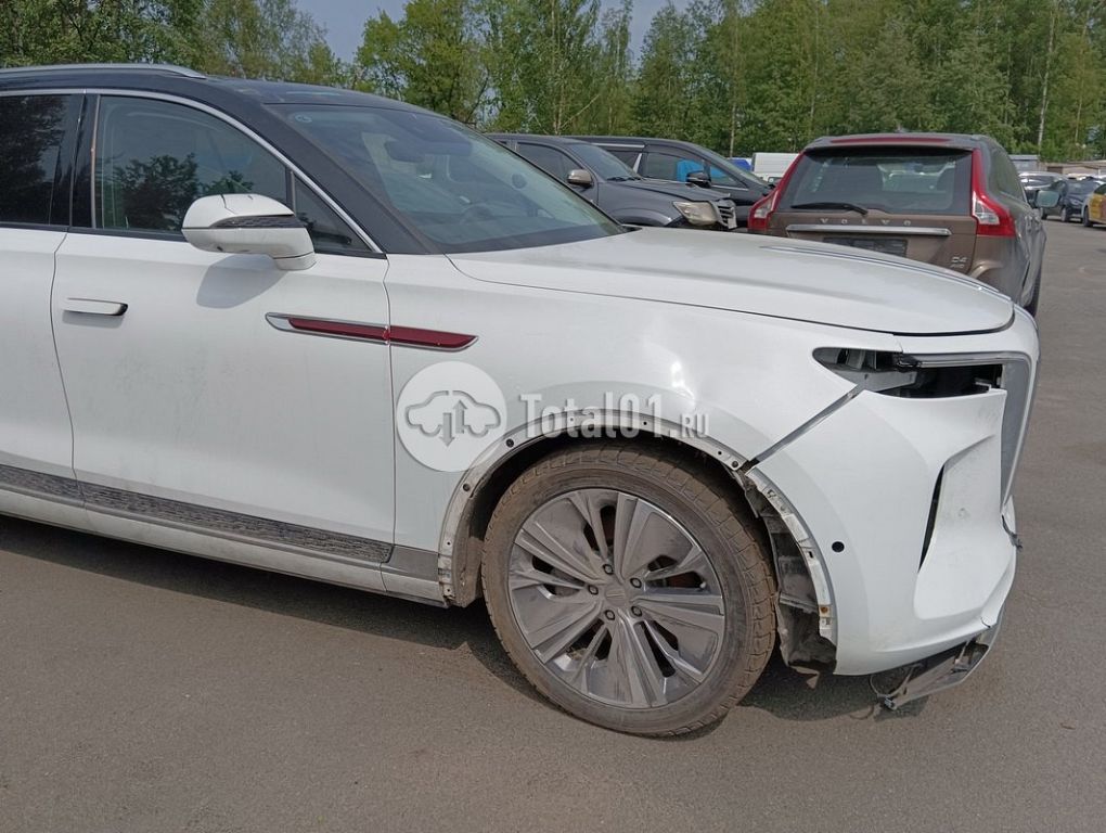 Фото Hongqi E-HS9 80