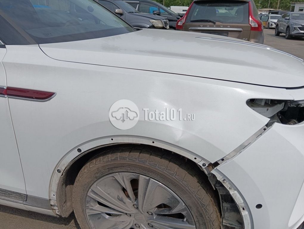Фото Hongqi E-HS9 82