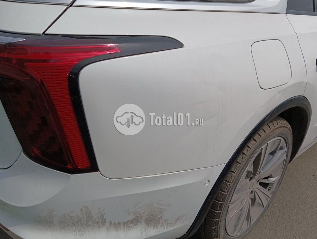 Фото Hongqi E-HS9 98