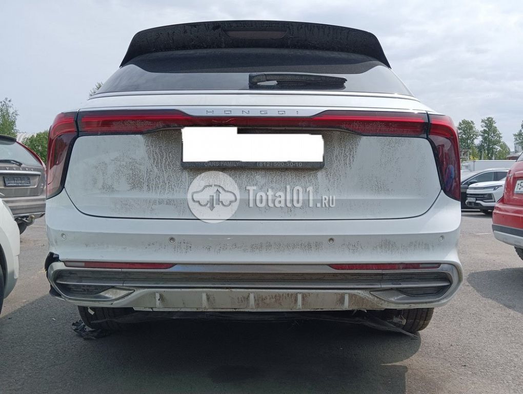 Фото Hongqi E-HS9 100