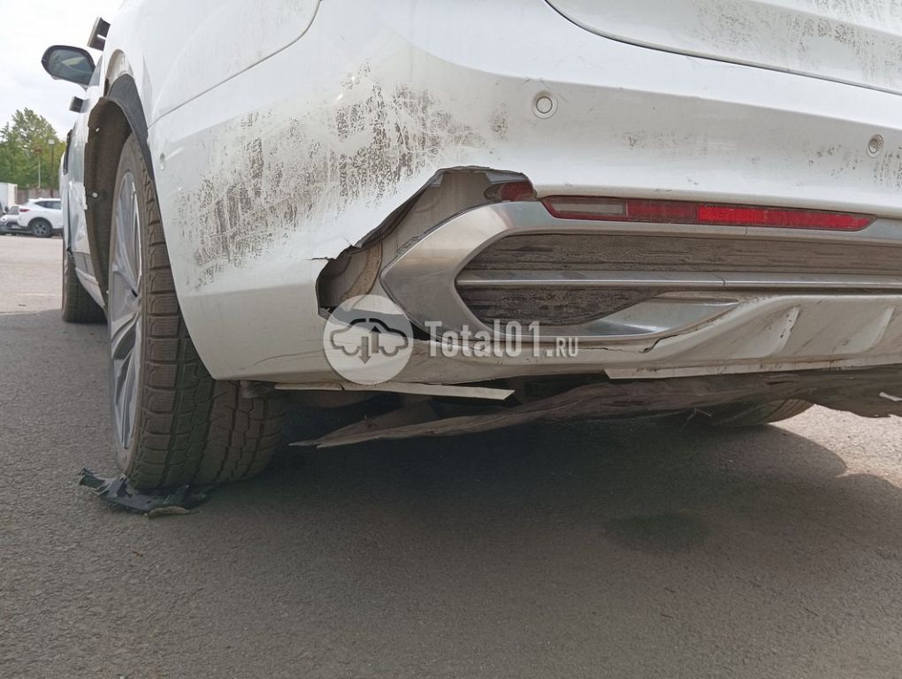 Фото Hongqi E-HS9 102