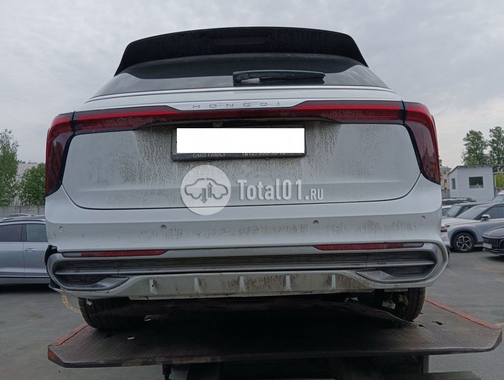 Фото Hongqi E-HS9 106