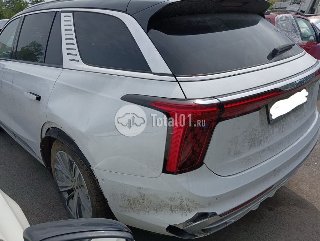 Фото Hongqi E-HS9 108