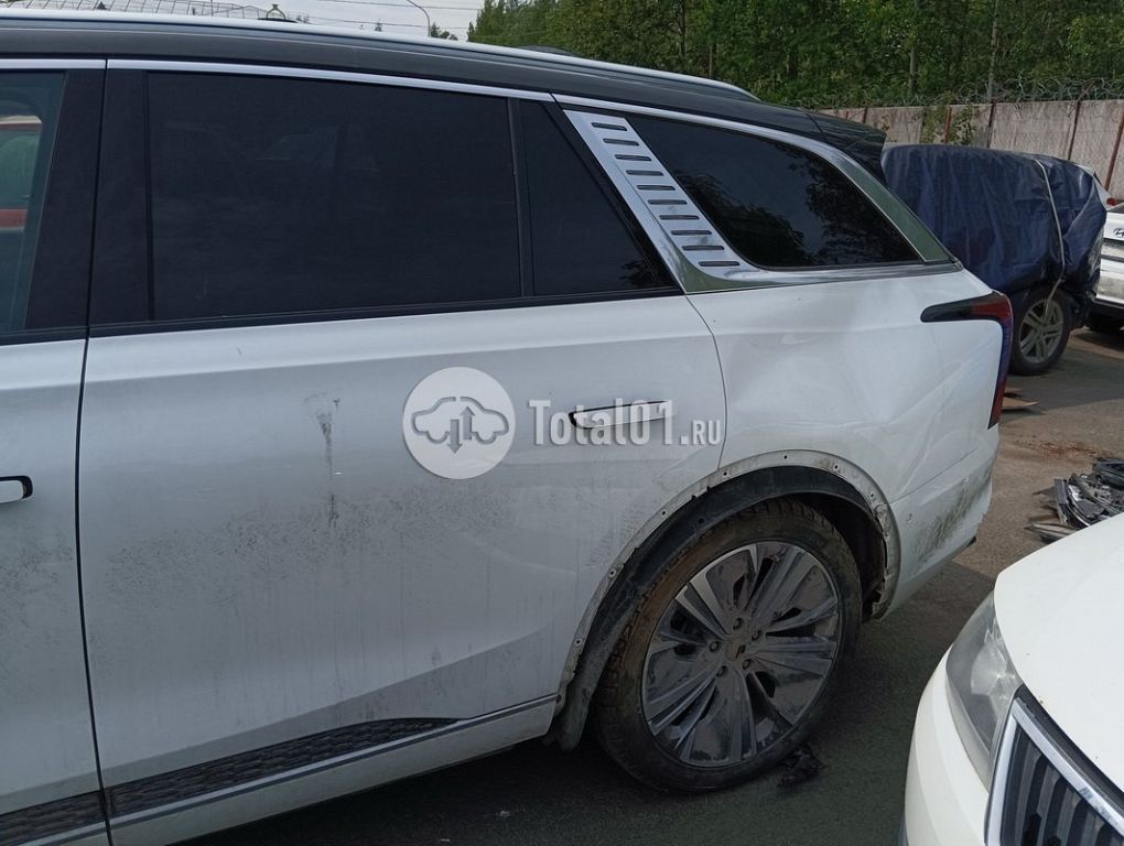 Фото Hongqi E-HS9 112