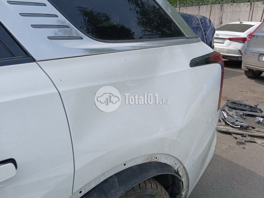 Фото Hongqi E-HS9 116
