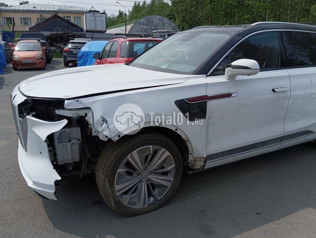 Фото Hongqi E-HS9 124