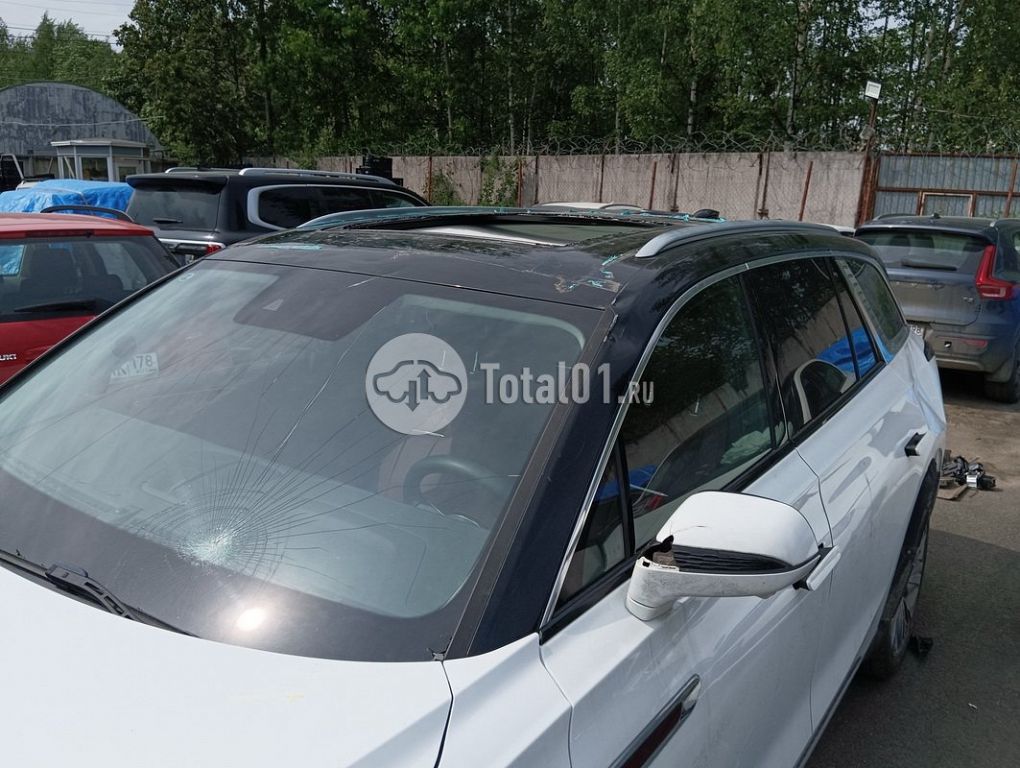 Фото Hongqi E-HS9 136