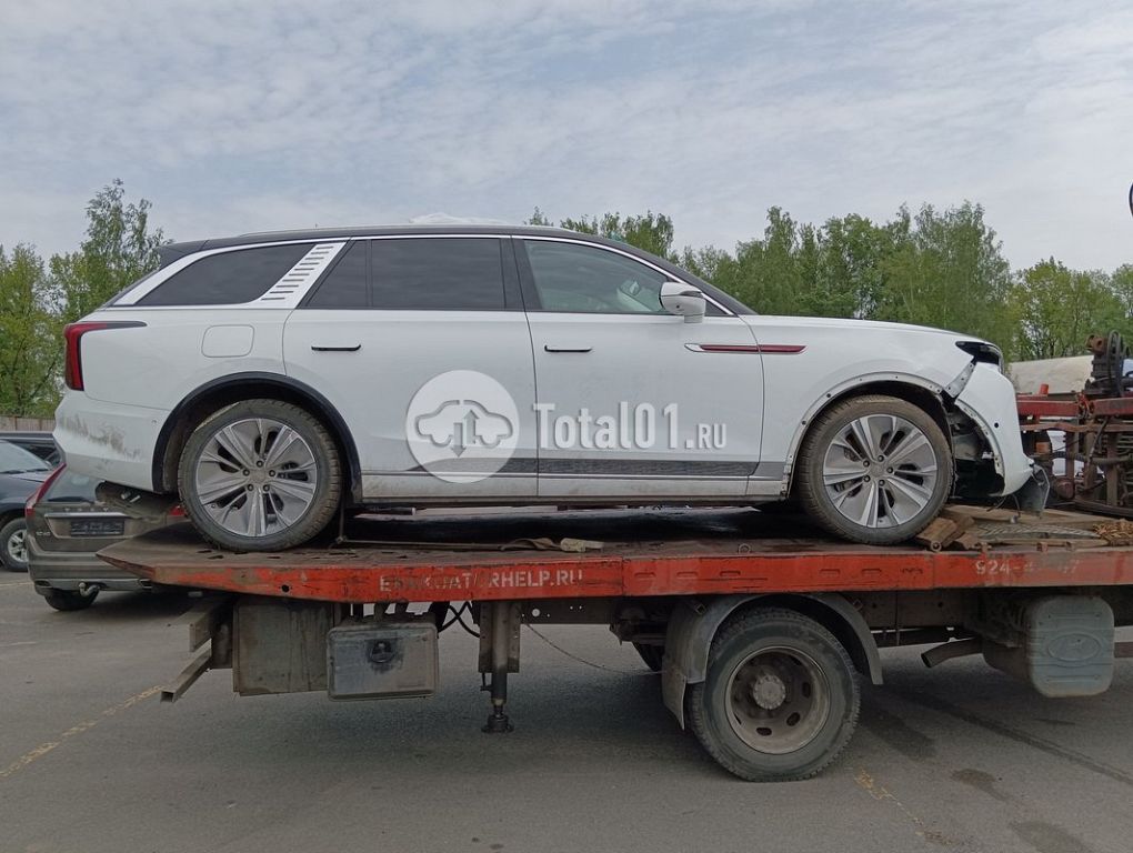 Фото Hongqi E-HS9 172