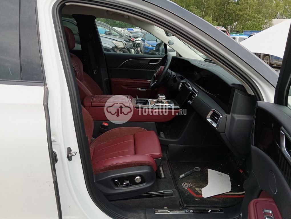 Фото Hongqi E-HS9 210