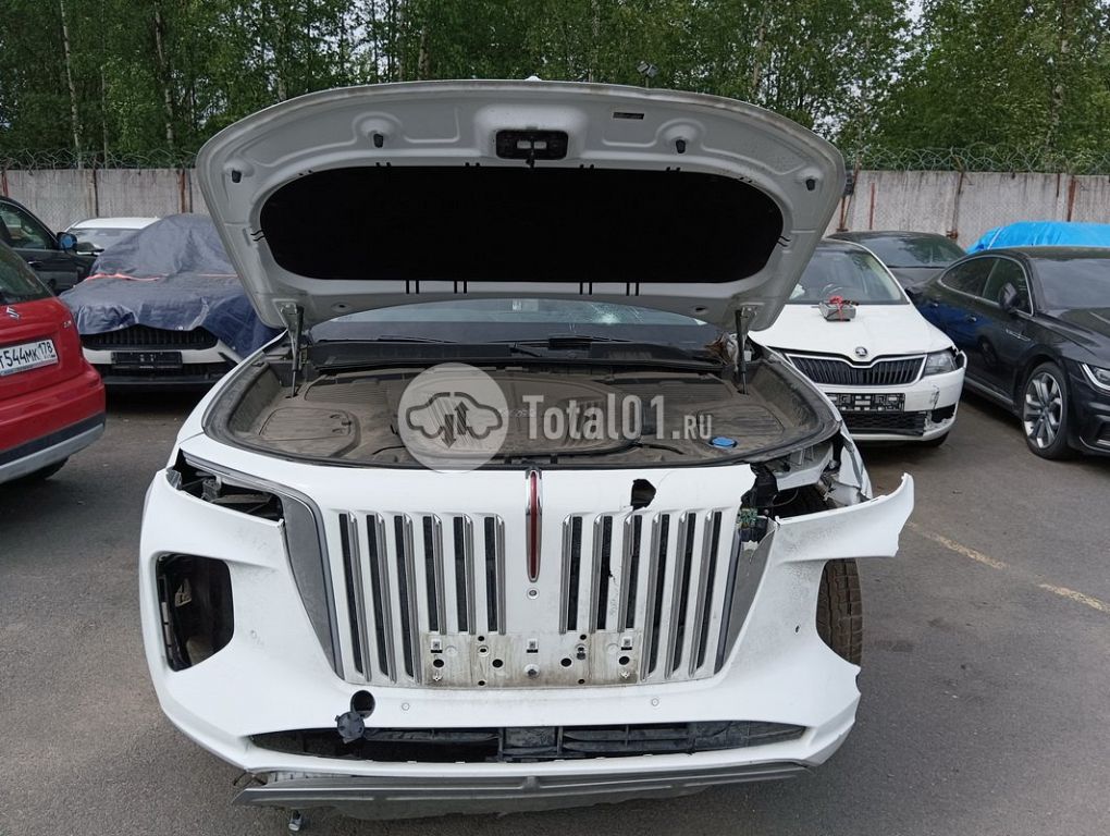 Фото Hongqi E-HS9 228