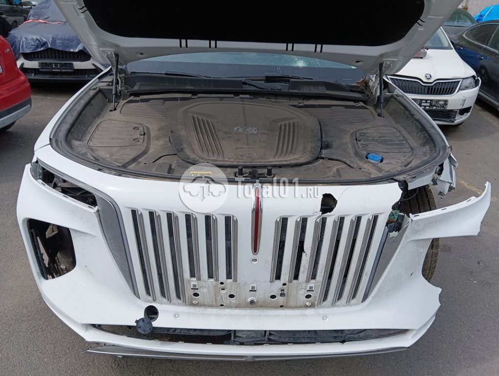 Фото Hongqi E-HS9 230