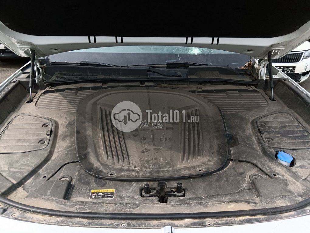Фото Hongqi E-HS9 232