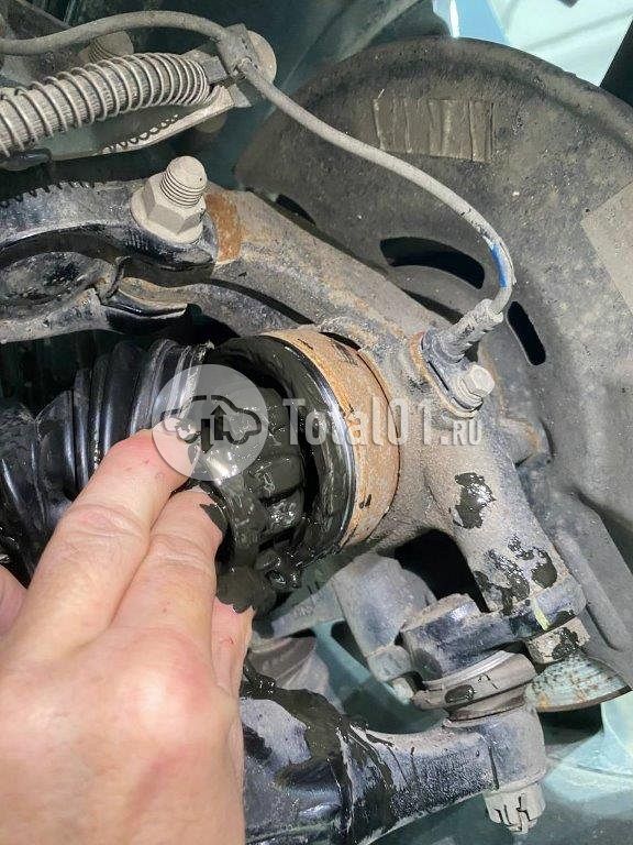 Фото Changan Eado 534
