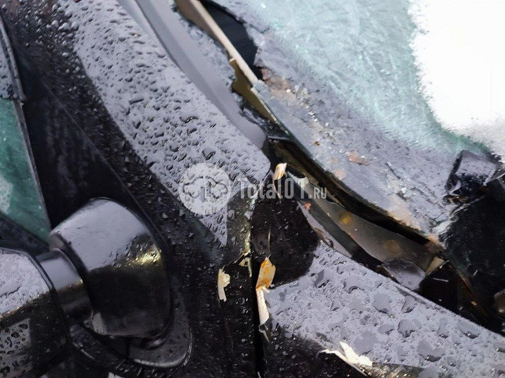 Фото Nissan Terrano 74