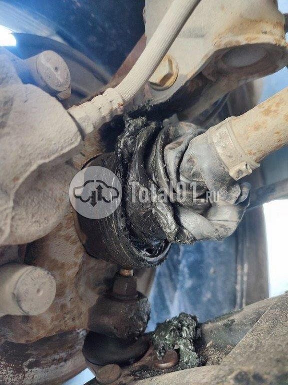 Фото Nissan Terrano 314