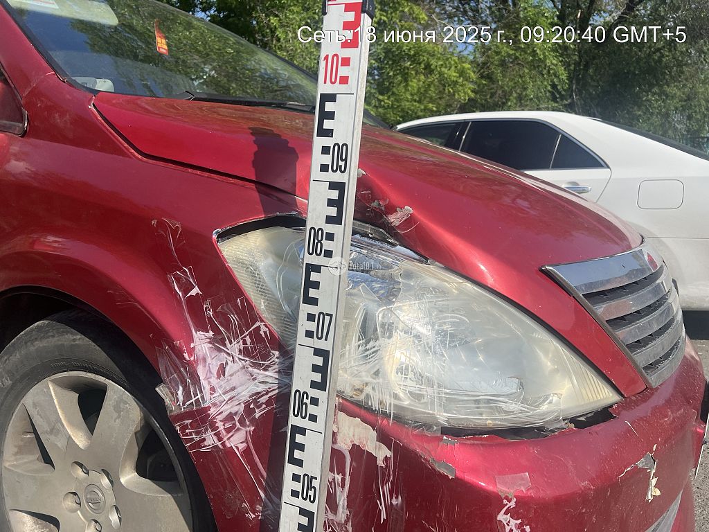 Фото Nissan Presage 14