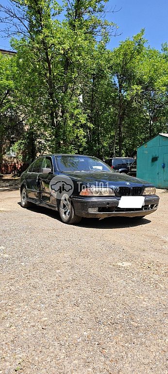 Фото BMW 5 серия 2