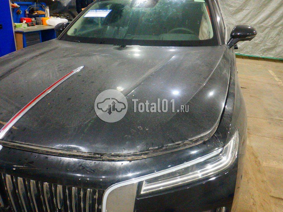 Фото Hongqi H9 94