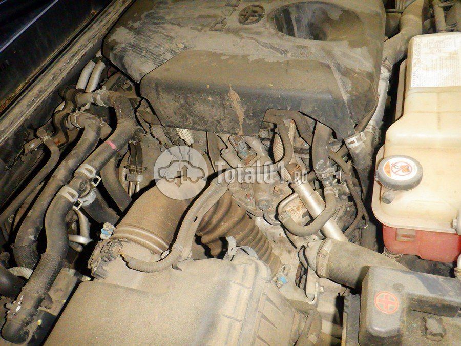 Фото Toyota Land Cruiser Prado 242