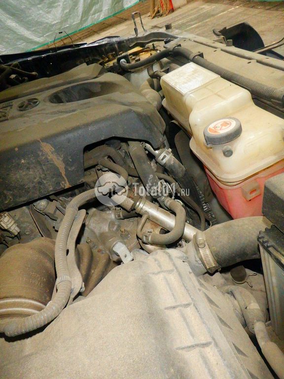 Фото Toyota Land Cruiser Prado 246